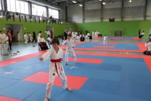 IMG_6505 (Kopírovat)