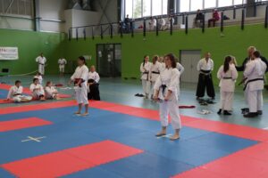 IMG_6518 (Kopírovat)